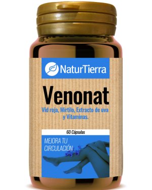 Venonat