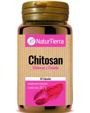 Chitosan