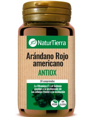 Arándano
