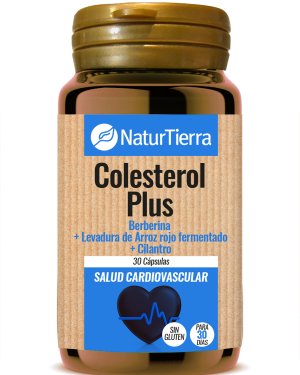 Colesterol