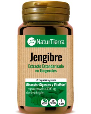 Jengibre
