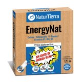 EnergyNat NT