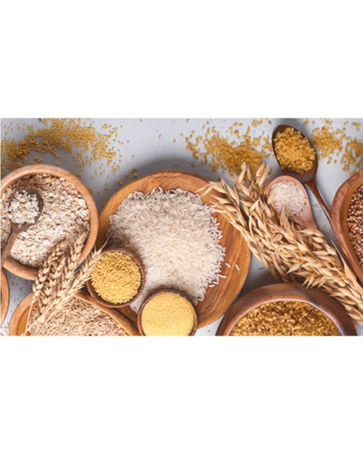 Alimentación ecológica naturtierra