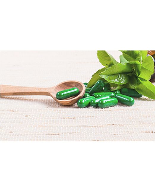 Complementos de la dieta