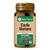 Cardo Mariano